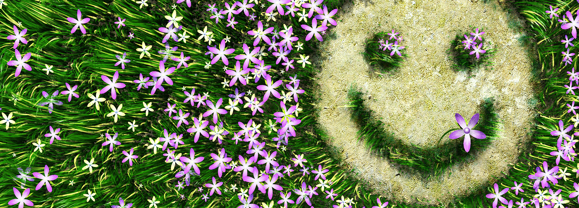 Aus Gras und lila Blüten geformtes Smiley-Gesicht in der Natur.